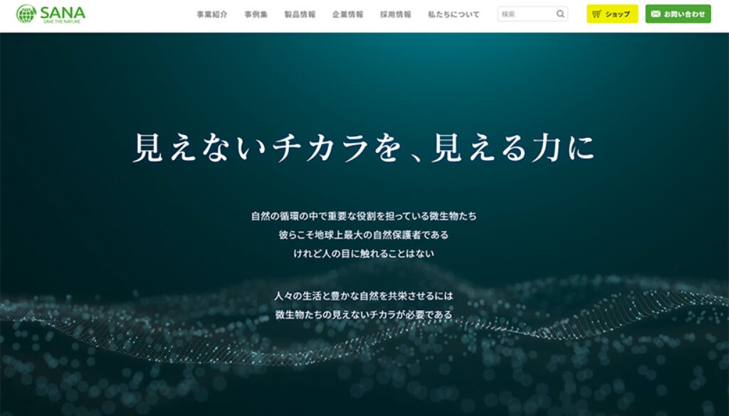 株式会社サナ 株式会社サナ
